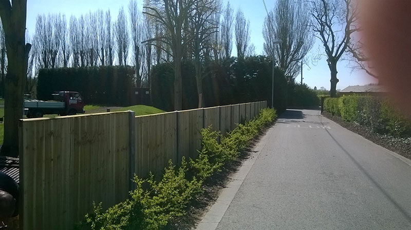 tanalised closeboard fence panels by Paul Timms Fencing